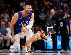 KY Game Card- 芝加哥公牛最新消息 